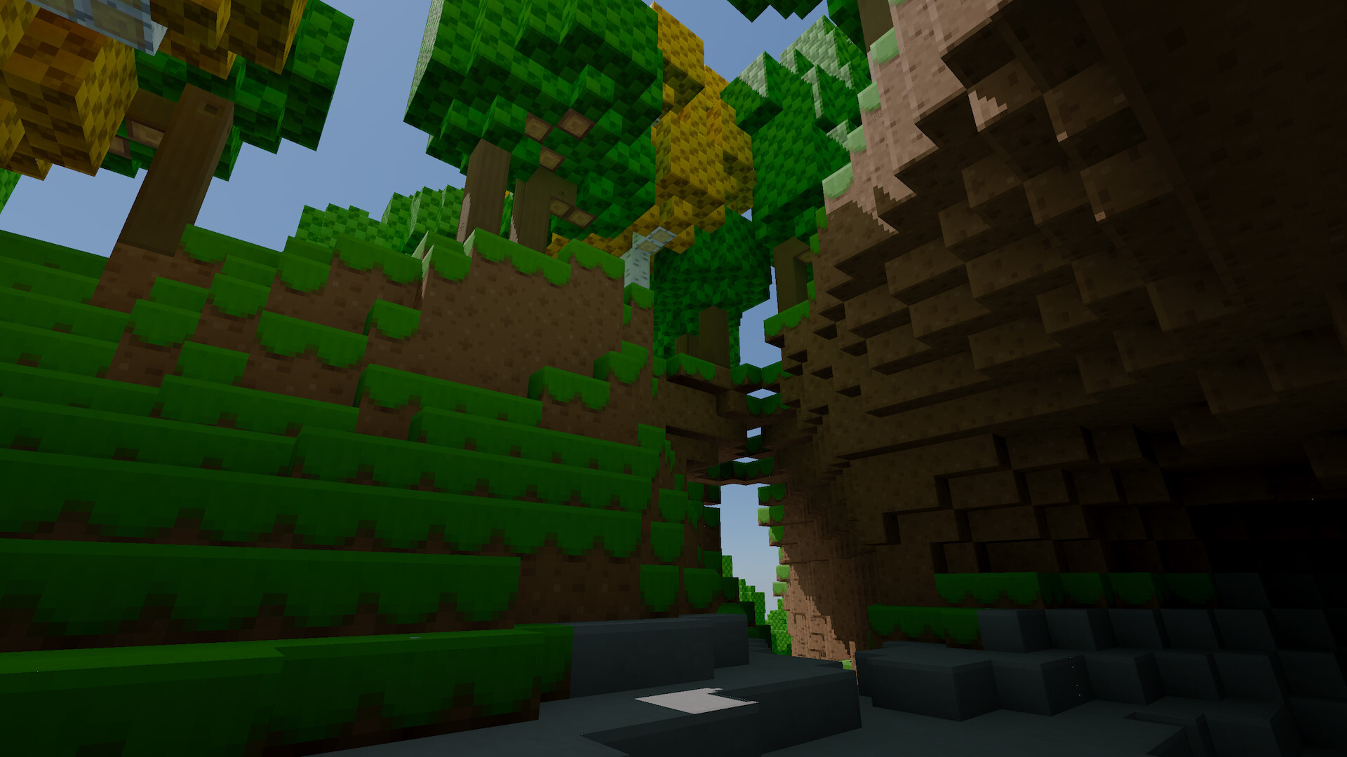 Looking out from a cave entrance